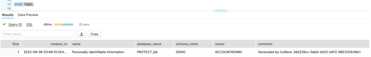 Snowflake masking policy